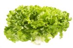 Zelenom salatom do vitkosti