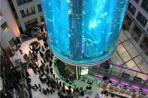 AquaDom  najvei zaobljeni akvarij na svijetu