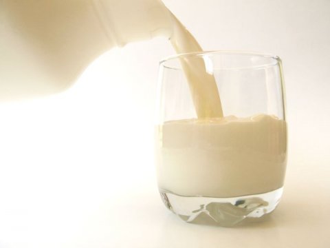 Probiotici i prebiotici štite naš organizam od bolesti