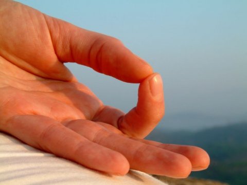 Mudre – moć iscjeljivanja u vašim rukama
