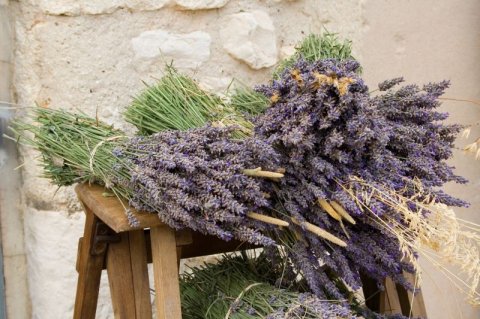Lavanda - mirisna mediteranska ljepotica